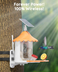 2K 3MP Bird Feeder with IP66 Waterproof Camera with 2.5L Large Capacity AI Identify 11000+ Birds Species
