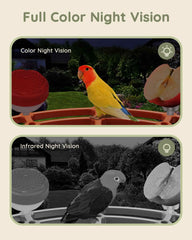 2K 3MP Bird Feeder with IP66 Waterproof Camera with 2.5L Large Capacity AI Identify 11000+ Birds Species