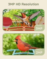 2K 3MP Bird Feeder with IP66 Waterproof Camera with 2.5L Large Capacity AI Identify 11000+ Birds Species