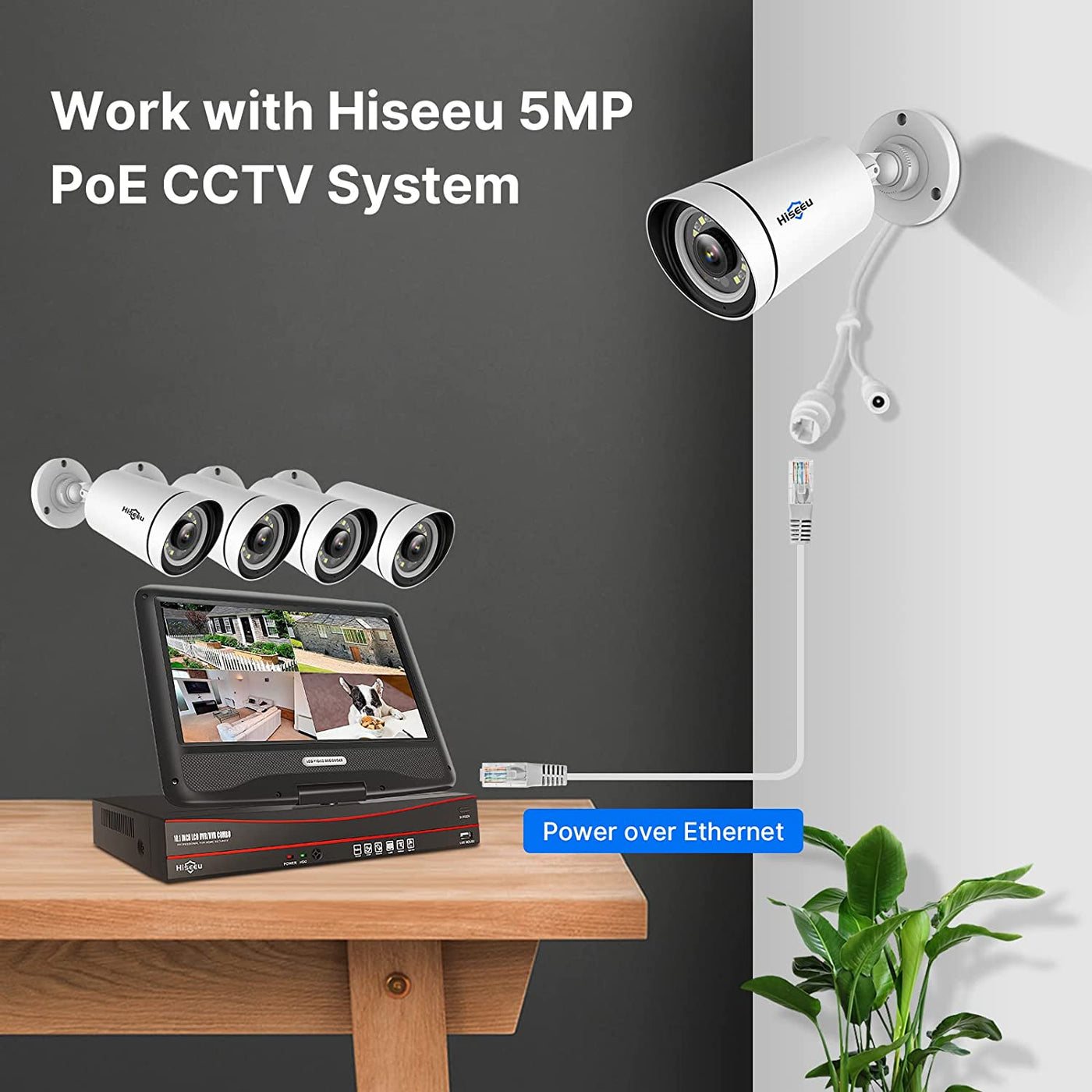 Hiseeu 5MP PoE Security Camera Color Night Vision,IP66 Waterproof Outdoor Security Camera,Two-way Audio,Smart Alerts,Work with Hiseeu PoE CCTV System